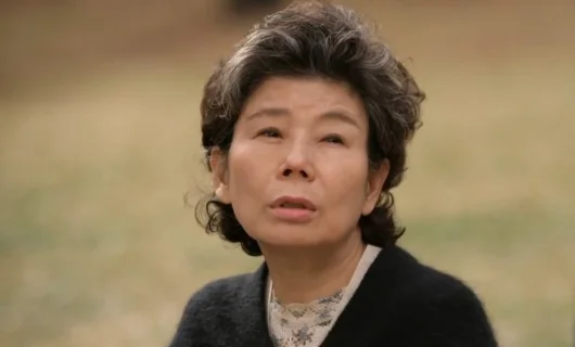 Дорама Странный отец 15 серия