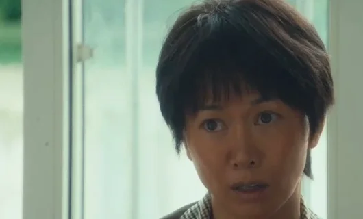 Дорама На Cевер 17 серия