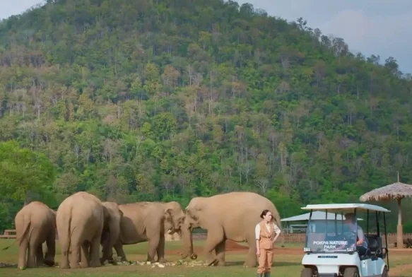 Кадр к 1 серии «Заблудившийся в лесу»