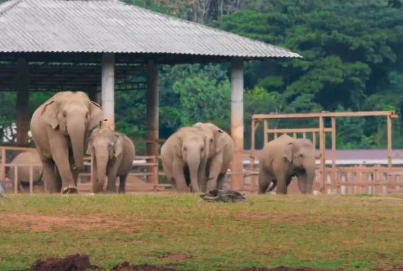 Кадр к 2 серии «Заблудившийся в лесу»