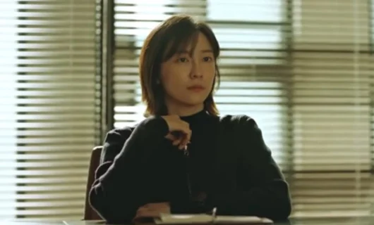 Дорама Чеболь против детектива 10 серия