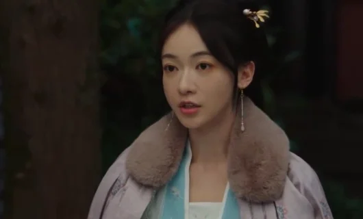 Дорама Двойник 25 серия