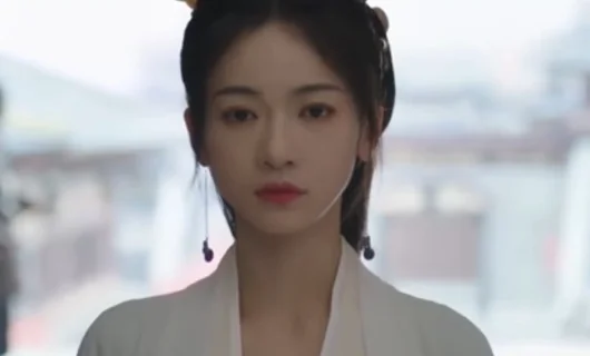 Дорама Двойник 24 серия