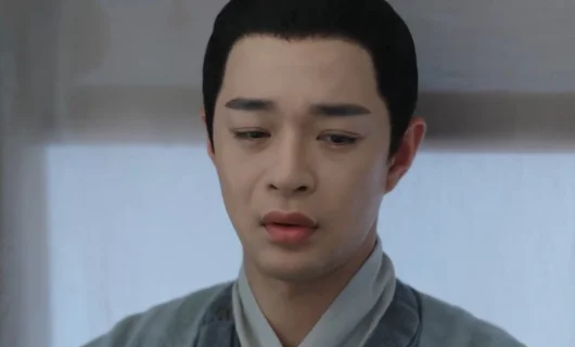 Дорама Двойник 17 серия