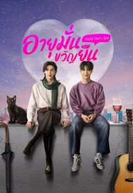 Тысячелетний лакорн 2024