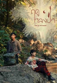 Заблудившийся в лесу лакорн 2025